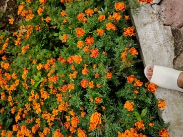 Bumi, 48, Indonesia