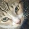 billy