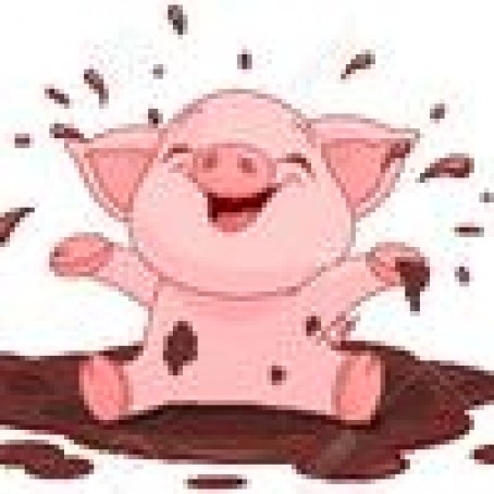 Famous Piggybacon, 99, United States