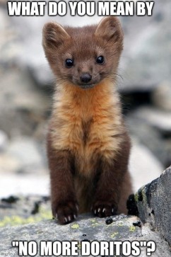 DoritoWeasel, 26, United Kingdom