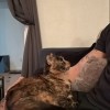 Sebastian, 26, United Kingdom