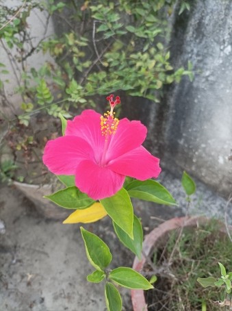 Akash_Marathi, 26, India