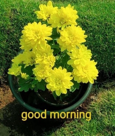 Vikrant, 43, India