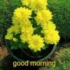Vikrant