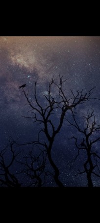 Instagram Account, 18, India