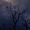 Instagram Account